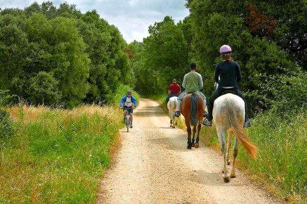 Riders and cyclists along the Greenway of the Vasco Navarro Railway